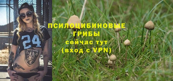 mix Абаза