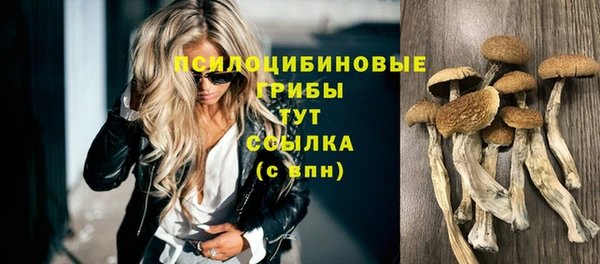 mix Абаза