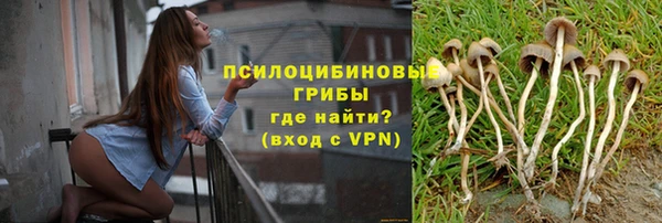 ешки Абдулино